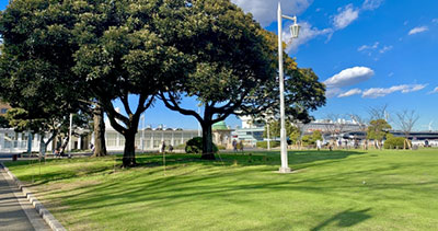 公園・堤防の雑草を処理したい